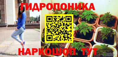 твердый Будённовск